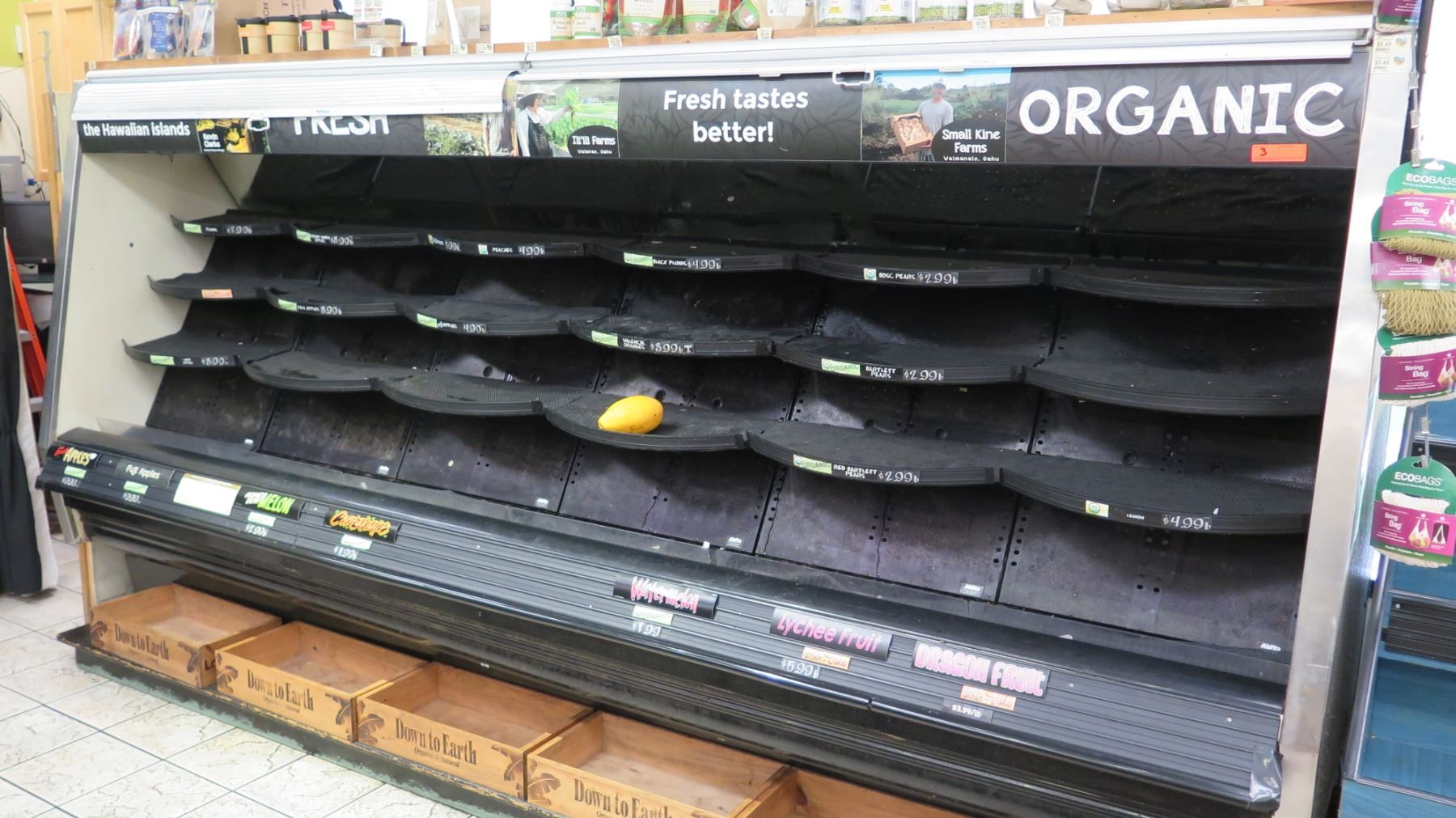 Produce Case Racks Carlson AirFlo Open Front Refrigerated Produce Display Case - Oahu Auctions
