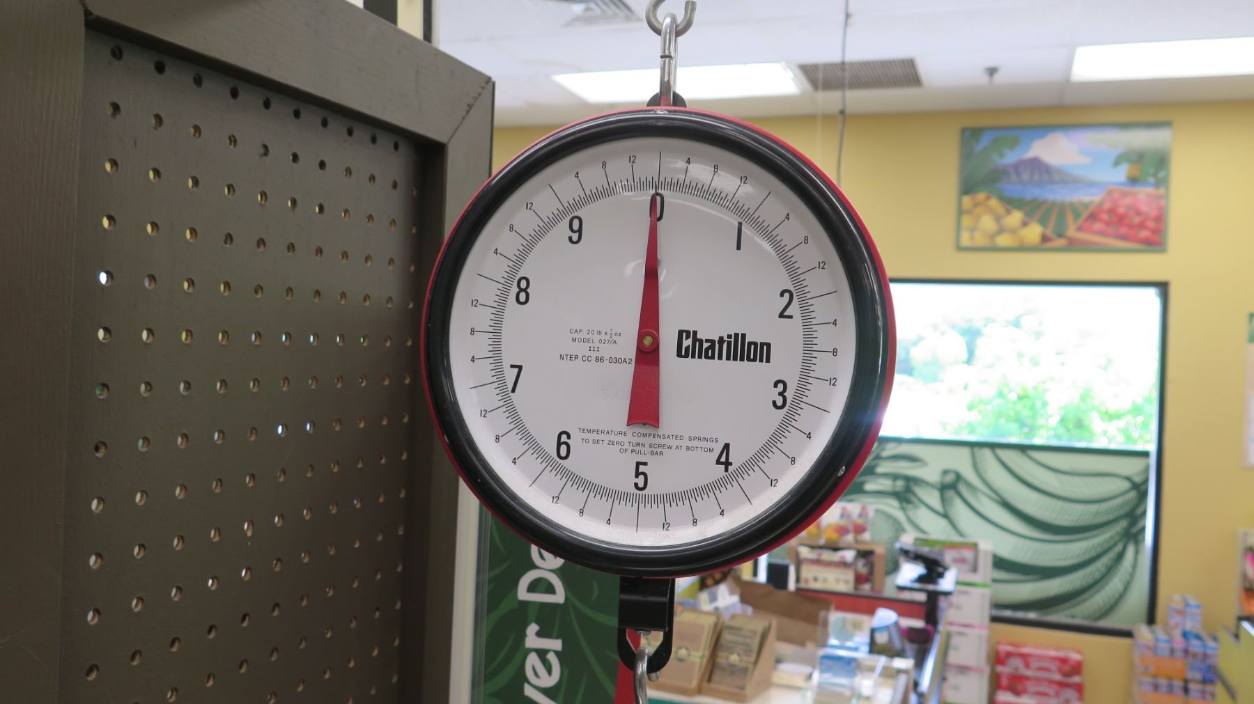 Hanging Chatillon 10 Pound Weight Scale