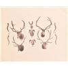Image 3 : 2 Rare Buckhorn Saloon Souvenir Booklets