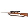 Image 2 : Ruger M77 .25-06 Bolt Action Rifle