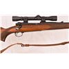 Image 10 : Winchester Model 70 .264 Win. Magnum