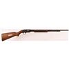Image 1 : Winchester Model 61 Pump Action .22 Rifle