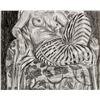 Image 5 : French Fauvist School Charcoal Signed Illegibly