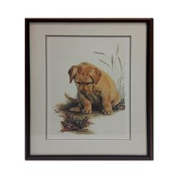 Amy Brackenbury's "Toadally Captivated" Limited Edition