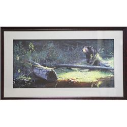 Brent Townsend's "Out of The Shadows" Limited Edition