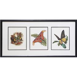Carl Brenders' "3 Winter Flys" Limited Edition Framed