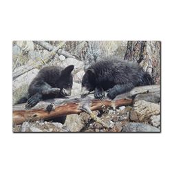 Carl Brenders' "Double Dare" Limited Edition Print