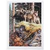Image 1 : Carl Brenders' "Lookout Tower - Wolves" Limited Edition