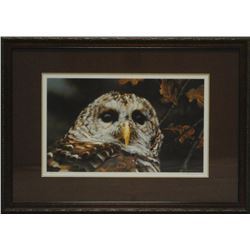 Carl Brenders' "Up Close- Barred Owl" Limited Edition
