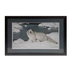 Charles Fracé's "Alaskan Friend" Limited Edition Framed