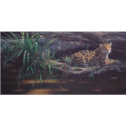 Daniel Smith's "Emerald Forest" Limited Edition Print