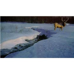 Daniel Smith's "Solitary Tracks" Artist Proof Print