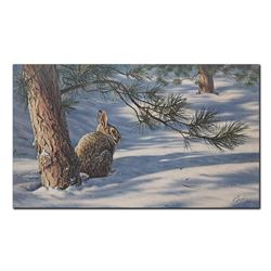 Darrell Bush's "Winter's Canopy" Limited Edition Print