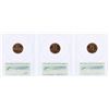 Image 2 : Lot of (3) 2009 Bicentennial Lincoln Cent Coins PCGS MS66RD First Day of Issue