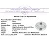 6.75 ct.Natural Oval Cut Aquamarine