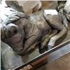 Image 2 : CONCRETE HORSE STATUE
