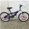 Image 1 : PURPLE AND SILVER BIKE