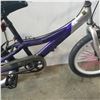 Image 2 : PURPLE AND SILVER BIKE