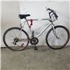 Image 1 : SILVER NO NAME BIKE