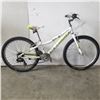 Image 1 : WHITE TREK BIKE