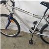 Image 2 : GREY CCM BIKE