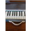Image 2 : SAMICK MELODIAN