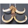 Image 3 : Beaded Rawhide Wrapped Boar Tusk Necklace- 18"L X 7"W