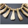 Image 2 : Beaded Buffalo Tooth Necklace- Total Length 35"- Case Not Included