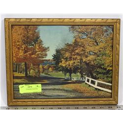 FALL TREES FRAMED PICTURE