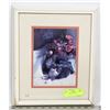 Image 1 : CAT FRAMED PICTURE