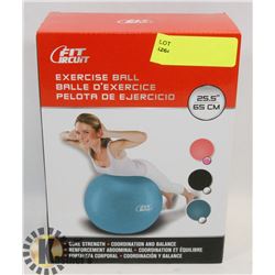 NEW PINK 25.5" EXERCISE BALL