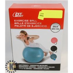 NEW BLUE 25.5" EXERCISE BALL