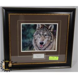 PROFESSIONAL FRAMED WOLF PICTURE-VIGILANT