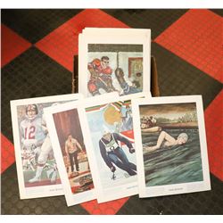 BOX OF 10 DRY MOUNT PRINTS