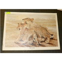 CIRCLE OF LIONS PICTURE