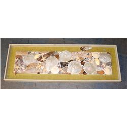 FRAMED SEALIFE COLLAGE BEACHES OF OREGON.