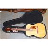 Image 1 : ACOUSTIC GUITAR WITH HARD CASE.