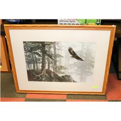 FRAMED & MATTED EAGLE PICTURE 34 X 44