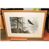 Image 1 : FRAMED & MATTED EAGLE PICTURE 34 X 44