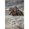 Image 9 : 2020 South Dakota Bighorn Sheep Auction License
