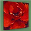 Image 3 : "Gem" Limited Edition Giclee on Canvas by Simon Bull, Numbered and Signed with COA. This piece comes