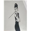 Image 7 : Al Hirschfeld "Audrey" Mylar screens use to crate the sold out limited edition lithograph