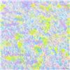 Image 2 : Spring by Pergola Original