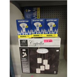 Pendant Light & Seven 300 Watt Floodlight Bulbs