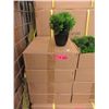 Image 1 : 4 Cases of 6 New 9" Artificial Plants