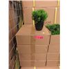 Image 1 : 4 Cases of 6 New 9" Artificial Plants
