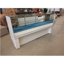 Glass Retail Display Case with Glass Shelf