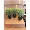 Image 1 : 4 Cases of 6 New 12" Artificial Plants in Pots