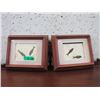 Image 1 : 2 Framed Green River Formation Fossils