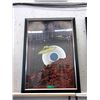 Image 1 : Framed Foo Fighters Poster - 289" x 39" Framed